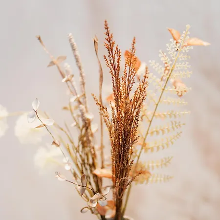 Lejlighed Kuesten De Diek - 3 Seitliche Deichlage, Terrasse, 53qm Greetsiel